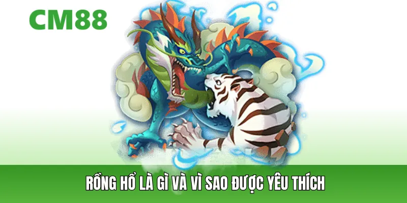 Rồng hổ là gì và vì sao được yêu thích