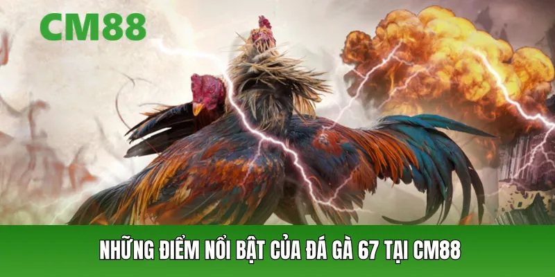 Những điểm nổi bật của đá gà 67 tại CM88