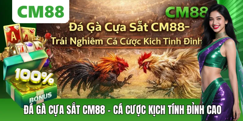 Đá Gà Cựa Sắt CM88 – Xem Trực Tiếp, Cược Nhanh Thắng Lớn