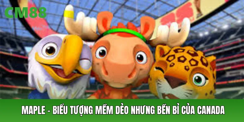 Maple – Biểu tượng mềm dẻo nhưng bền bỉ của Canada