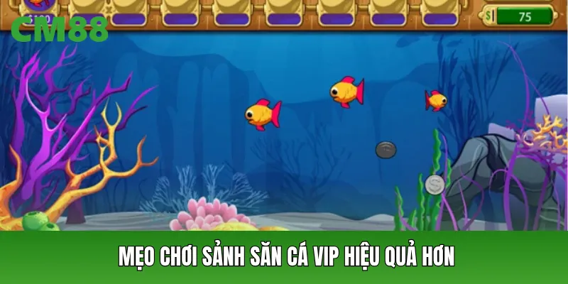 Mẹo chơi sảnh săn cá vip hiệu quả hơn