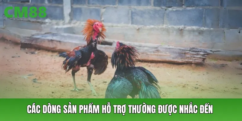 Các dòng sản phẩm hỗ trợ thường được nhắc đến
